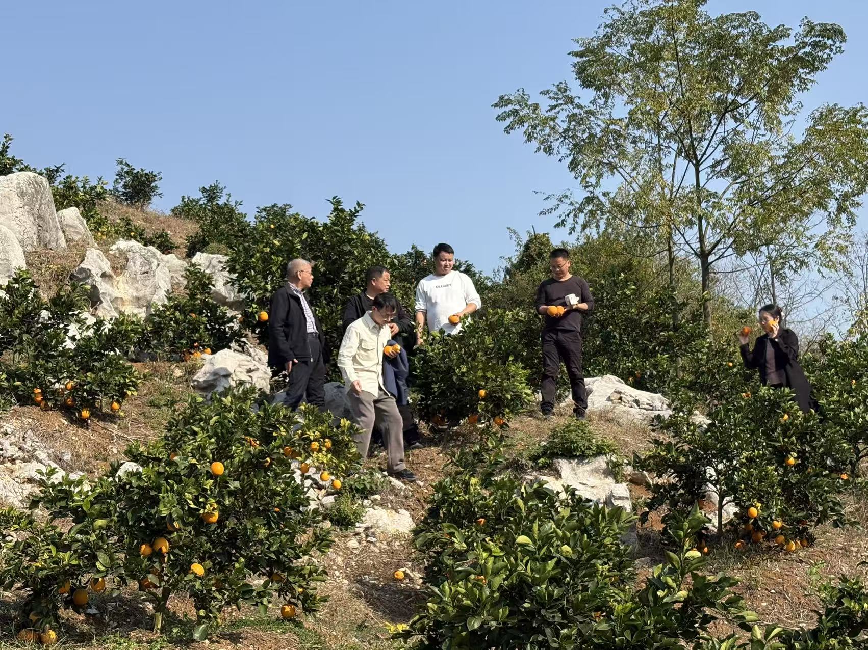 3044am永利集团官网